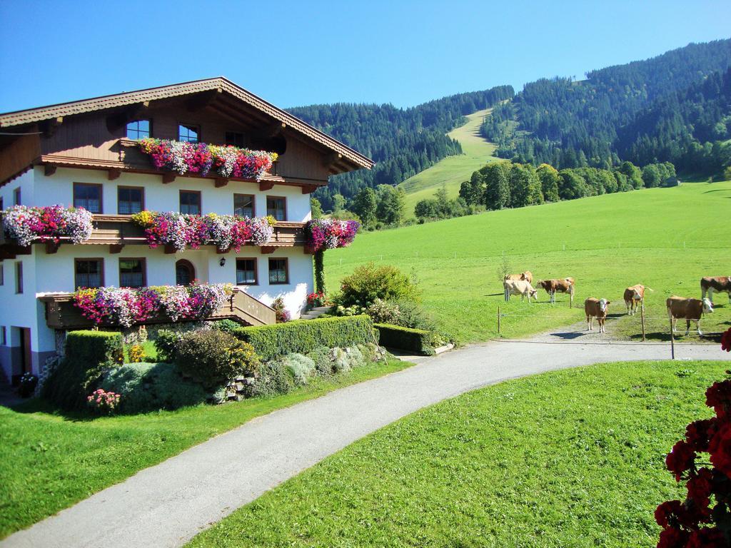 Apartament Sixenhof Niederau Zewnętrze zdjęcie
